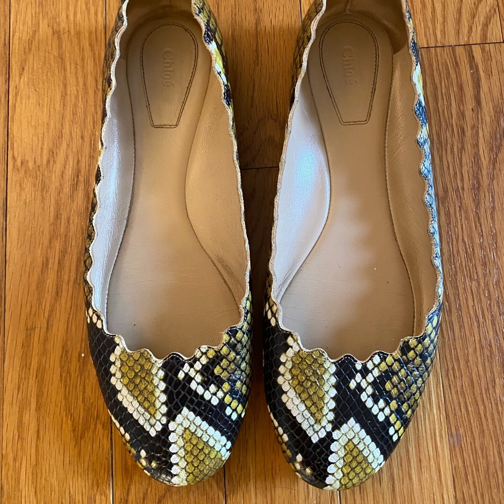 Chloe Lauren Scalloped Snake-print Ballet Flats 37